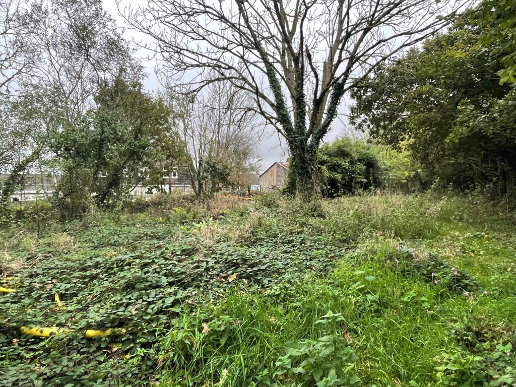 Lot: 38 - FREEHOLD LAND WITH PRE-APPLICATION ADVICE - Overgrown grassland